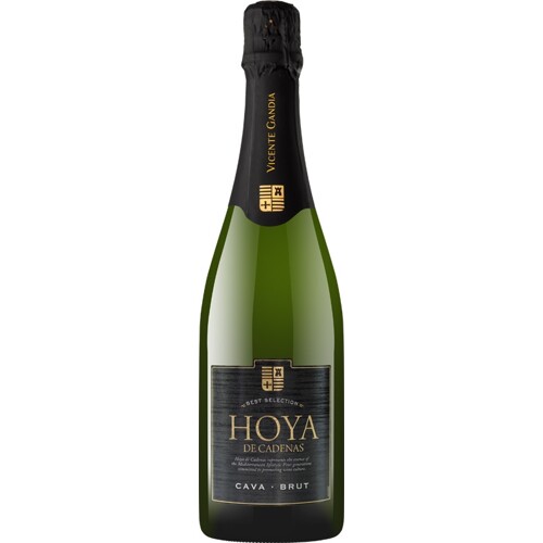Cava Hoya de Cadenas, Brut, Valencia, Vicente Gandia - suché