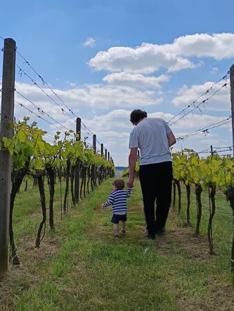 Se synkem ve vinicích