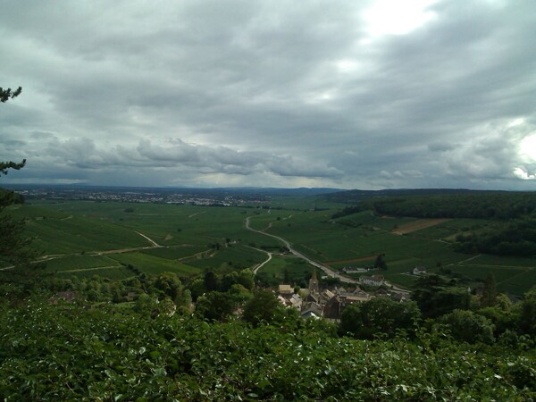 Pohled na město Beaune, Francie, Burgundsko. Dole napravo od silnice se nachází světoznámé vinice Corton Charlemagne.