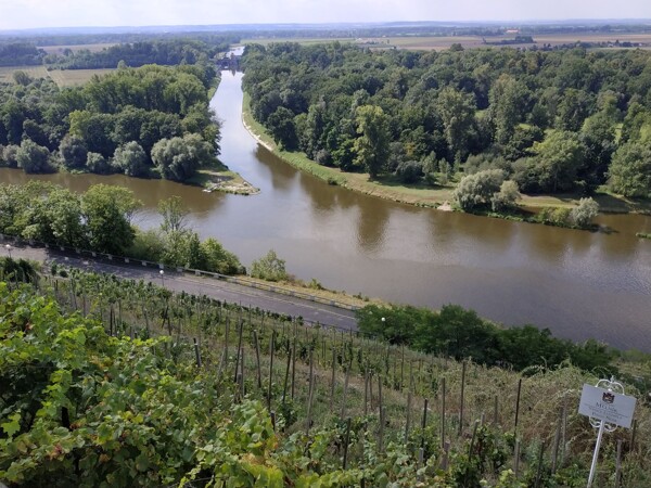 Pohled na vinice pod zámkem v Mělníku patřící Chateau Mělník. Soutok Labe a Vltavy je vlevo o pár set metrů dále, na obrázku se slévá Labe a Vraňasko-Hořínský kanál