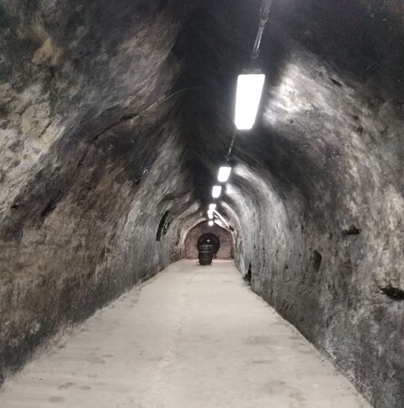 Pohled do rozsáhlých chodeb sklepů vinařství Modrý sklep, Nový Šaldorf