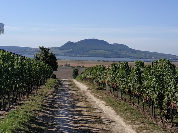 Pohled na Pálavské vrchy z vinařství Sonberk