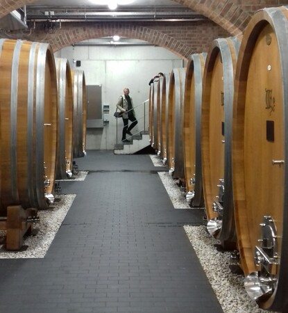 Velké dubové sudy ve vinařtví Robert Weil, Rheingau, Německo.