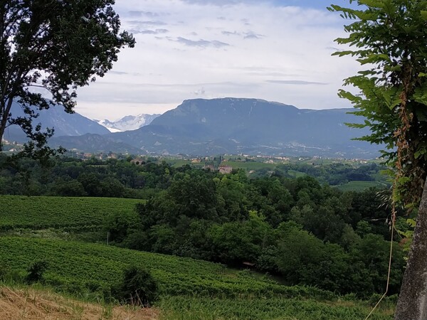 Pohled na region v oblasti Veneto, kde se Prosecco vyrábí