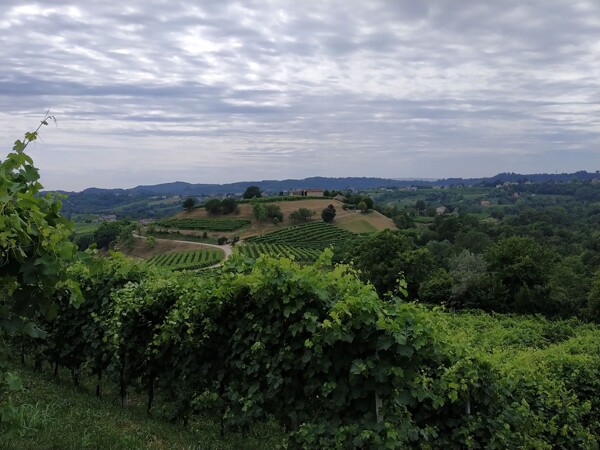 Pohled na region v oblasti Veneto, kde se Prosecco vyrábí